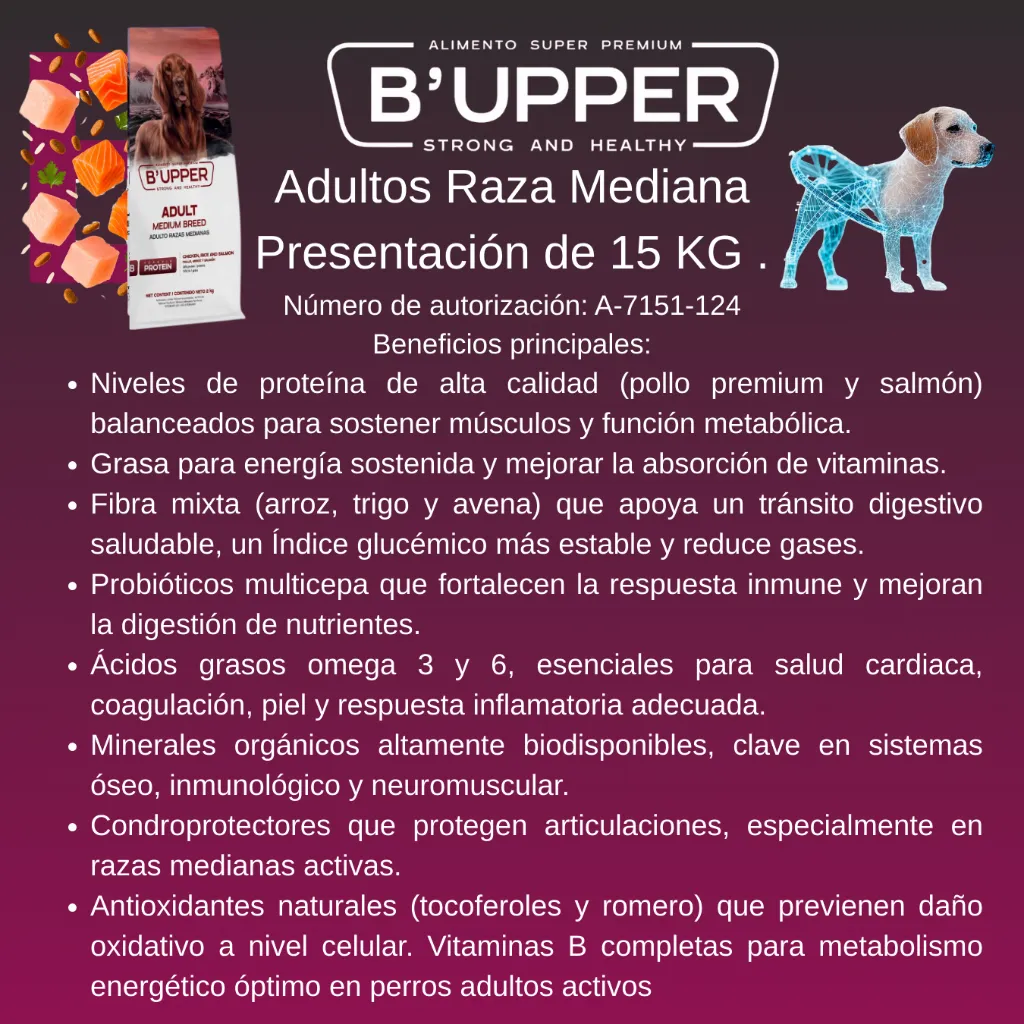 8.webp