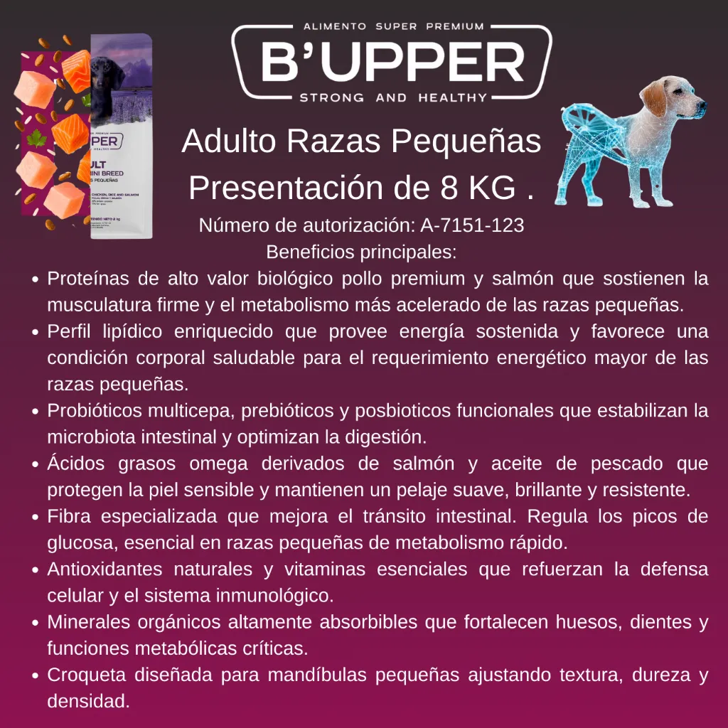 14.webp