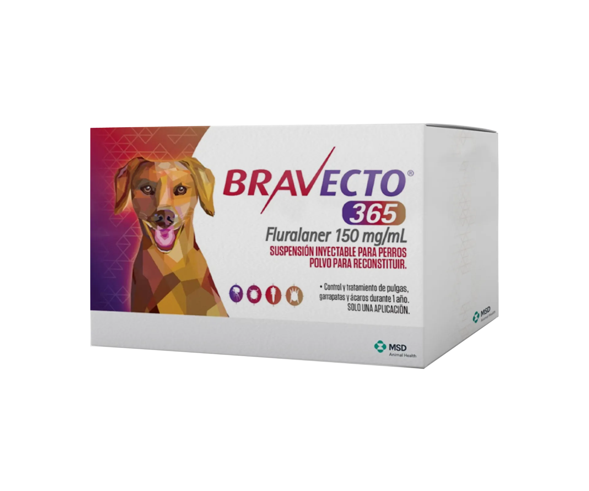 Bravecto 365 Dias